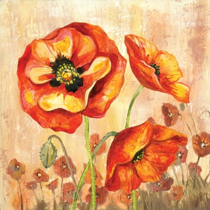 Picture of BIG RED POPPIES II