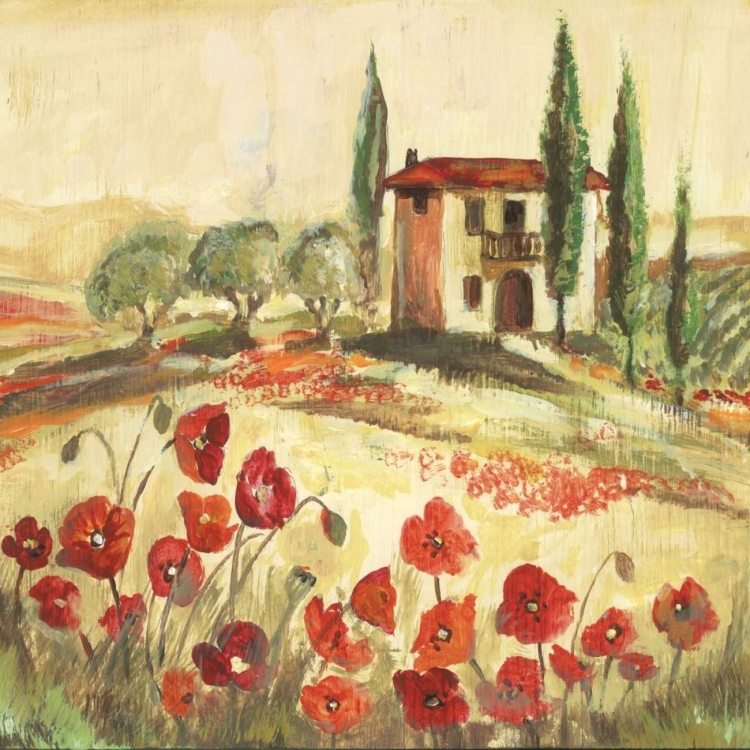 Picture of POPPY FIELD I