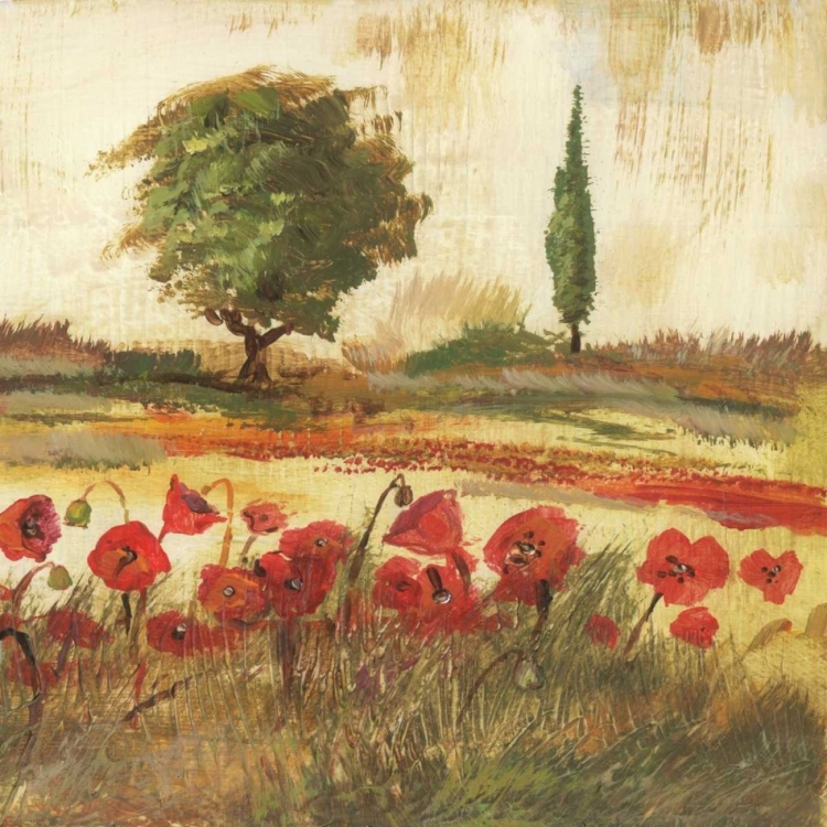 Picture of POPPY FIELD III