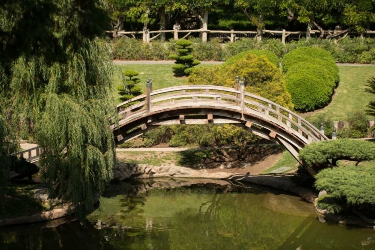 Picture of MOON BRIDGE I