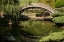 Picture of MOON BRIDGE II
