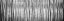 Picture of PACIFIC ALBUS BW I