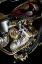Picture of FLAMED V TWIN