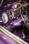 Picture of PURPLE FLAMER II