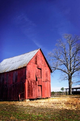 Picture of OLD TOBACCO BARN III
