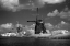 Picture of WINDMILL II