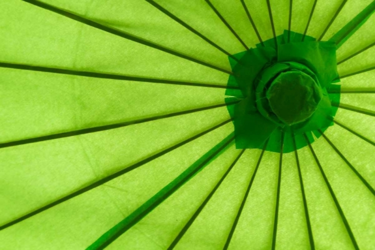 Picture of GREEN UMBRELLA