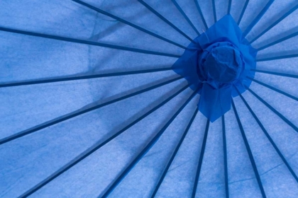 Picture of BLUE UMBRELLA