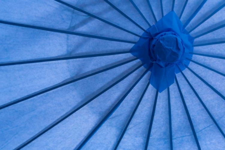 Picture of BLUE UMBRELLA