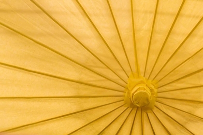 Picture of YELLOW UMBRELLA