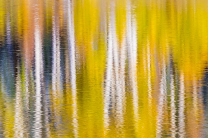 Picture of REFLECTIONS OF FALL I