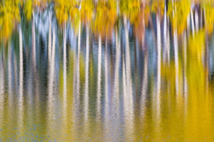 Picture of REFLECTIONS OF FALL II