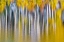 Picture of REFLECTIONS OF FALL II