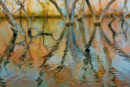 Picture of LAKE POWELL REFLECTIONS II