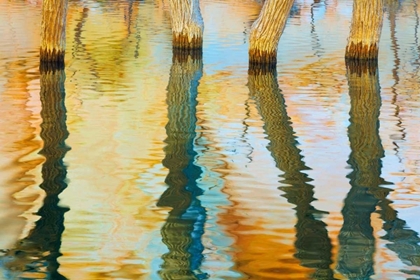 Picture of LAKE POWELL REFLECTIONS III