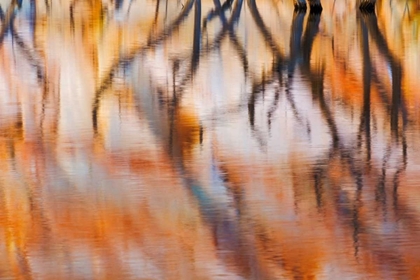 Picture of LAKE POWELL REFLECTIONS IV