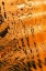 Picture of GOLDEN REFLECTION I