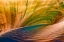 Picture of WAKE PATTERNS I