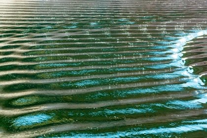 Picture of WAKE RIPPLES I