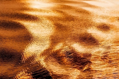 Picture of GOLDEN WATER I