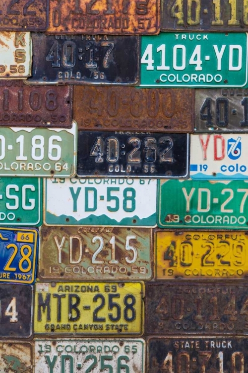 Picture of LICENSE PLATES I