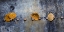 Picture of CORRODED METAL I
