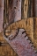 Picture of VINTAGE TOOLS II