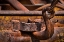 Picture of OLD TOW TRUCK I