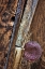 Picture of WOOD DETAIL I