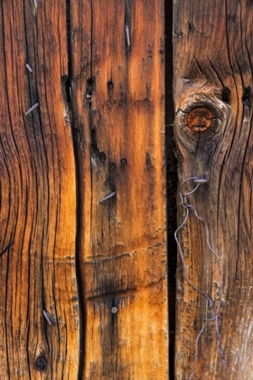 Picture of WOOD DETAIL II