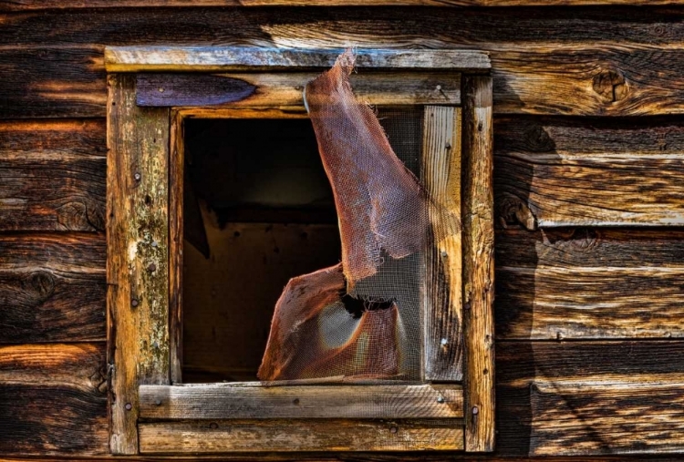 Picture of CABIN WINDOW