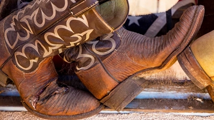 Picture of COWBOY BOOTS I