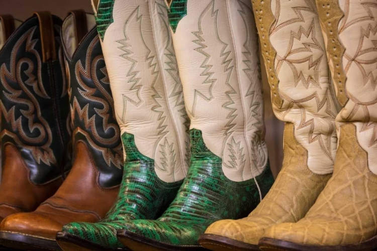Picture of COWBOY BOOTS II