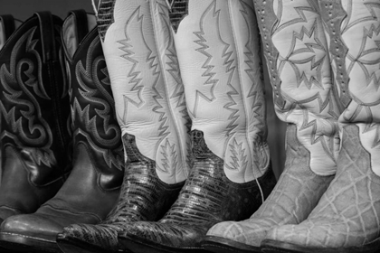 Picture of COWBOY BOOTS BW II
