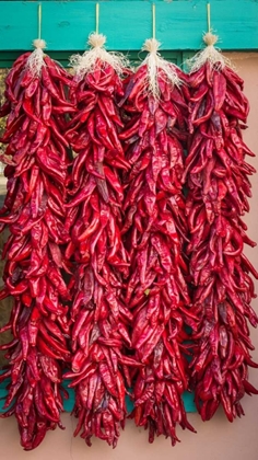 Picture of RISTRAS II