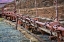 Picture of TRAIN DETAILS II