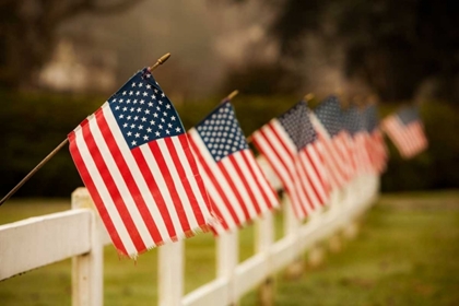 Picture of FLAGS I