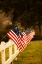 Picture of FLAGS II
