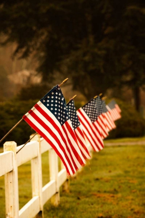 Picture of FLAGS II