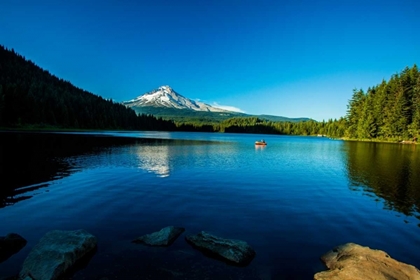 Picture of TRILLIUM LAKE I