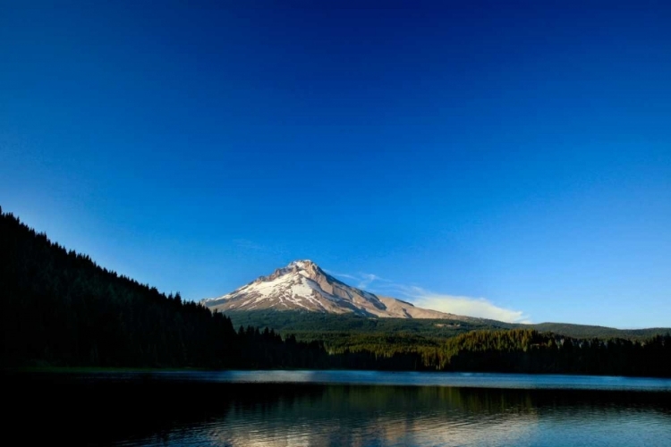 Picture of TRILLIUM LAKE II