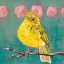 Picture of CITRINE FLY CATCHER