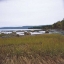 Picture of ESTUARY I