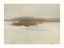 Picture of WINTER WILLOWS