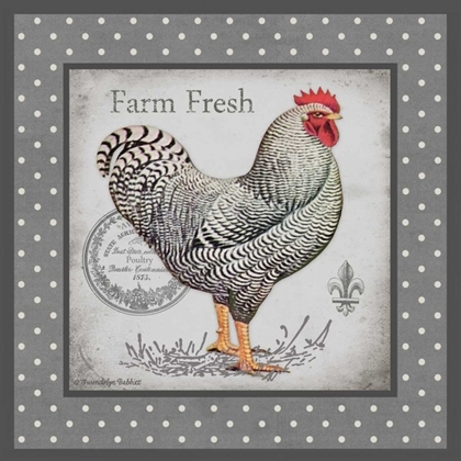 Picture of FARM FRESH EGGS I