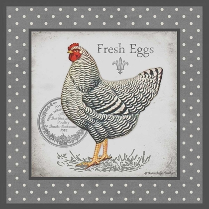 Picture of FARM FRESH EGGS II