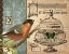 Picture of BIRD AND CAGE I