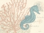 Picture of SEA HORSE