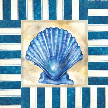 Picture of NAUTICAL SCALLOP