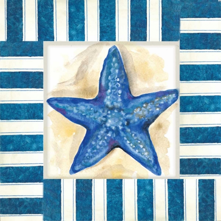 Picture of NAUTICAL STARFISH